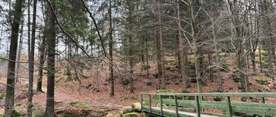 Nad wodospadem Podgórnej ↔ Borowice