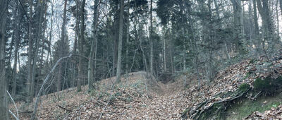 Brody ↔ Lanckorona, Za Górą