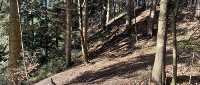 Ruiny zamku Skrzyńskich