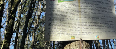 Ruiny zamku Skrzyńskich