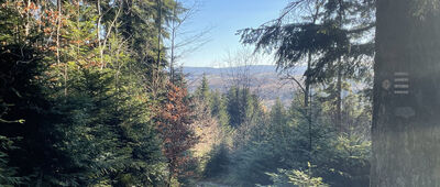 Bugaj Zakrzowski ↔ Ruiny zamku Skrzyńskich