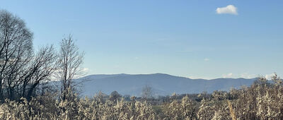 Bugaj Stryszowski ↔ Bugaj, Żarek