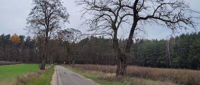 Zagórze ↔ Przewodowice