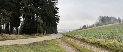 Police nad Metují, Hvězdecká ↔ Klůček, rozc.