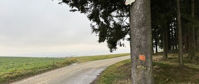 Police nad Metují, Hvězdecká ↔ Klůček, rozc.