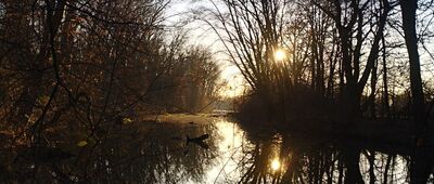 Rezerwat Morysin ↔ Powsinek [Kanał Sobieskiego]