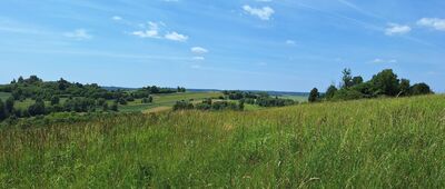Szklary ↔ Jerzmanowice, ul. Centralna [Okolice Szklar]