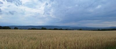 Modlnica ↔ Gacki [Łysa Góra]