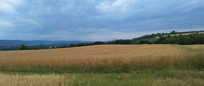 Modlnica ↔ Gacki [Łysa Góra]