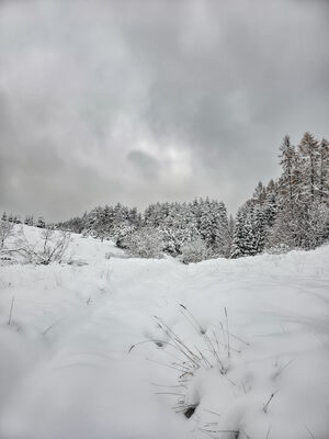 Zimowy zielony szlak na Kudów