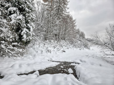 Zimowy zielony szlak na Kudów