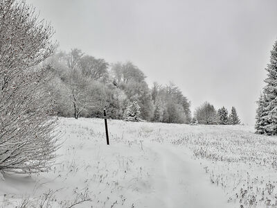 Polana Kudów