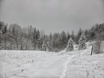 Polana Kudów