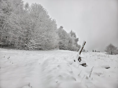 Polana Kudów
