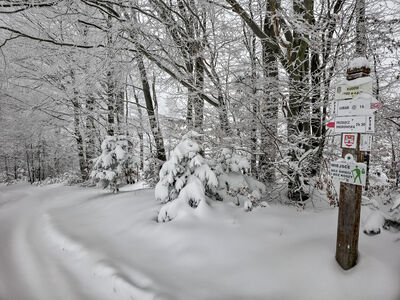 Skrzyżowanie szlaków - Kudów