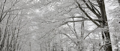 Polana Kudów [Czerwony szlak w okolicy Kudowa]