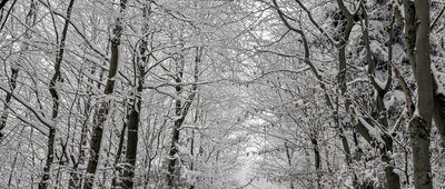 Runek ↔ Polana Kudów [Podejście na Runek]