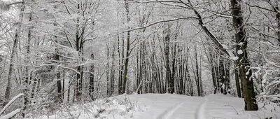 Runek [Runek 1004 m n.p.m.]