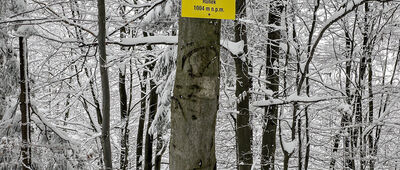 Runek [Runek 1004 m n.p.m.]