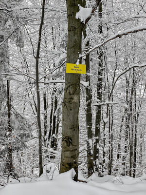 Runek 1004 m n.p.m.