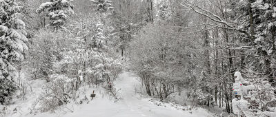 Pod Kotelnicą [Skrzyżowanie szlaków pod Kotelnicą]