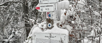 Pod Kotelnicą [Skrzyżowanie szlaków pod Kotelnicą]