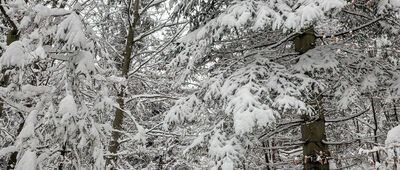 Huba ↔ Pod Kotelnicą [Niebieski szlak w okolicy Kotelnicy]