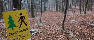 Kamień Miedzianogórski ↔ Tumlin-Podgród