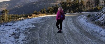 Taras pod Kozią Równią ↔ Kozie Siodło, rozwidlenie