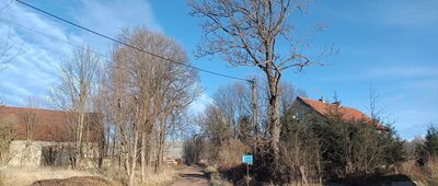 Unisław Śląski, skrzyżowanie