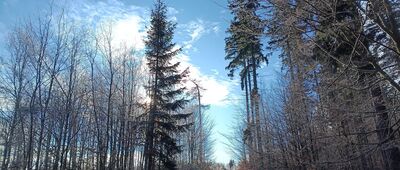 Unisław Śląski, skrzyżowanie ↔ Rozejście szlaków