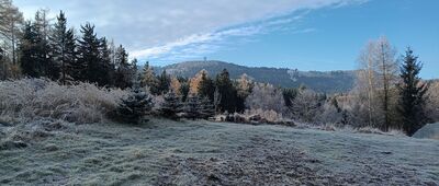 Rozejście szlaków ↔ Kuźnice Świdnickie, ul. Wincentego Pola
