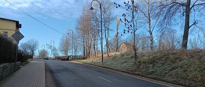 Boguszów-Gorce, ul. Władysława Reymonta