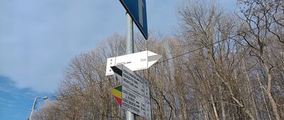 Boguszów-Gorce, ul. Krakowska