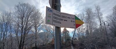 Boguszów-Gorce, ul. Krakowska