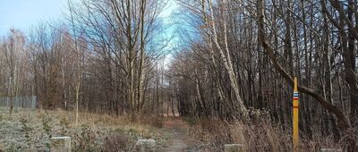 Sobięcin, ul. Bronisława Kani