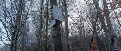 Dawna kopalnia Friedrich Stollberg