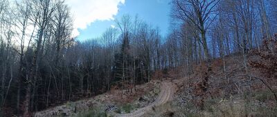 Rozejście szlaków ↔ Dawna kopalnia Friedrich Stollberg