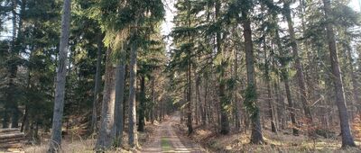 Pod Kamienną Górą