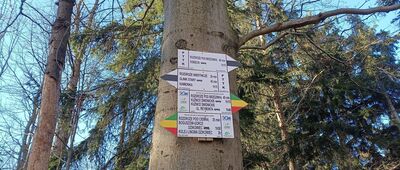 Wałbrzych, ul. Mieroszowska ↔ Pod Kamienną Górą