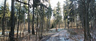 Wałbrzych, ul. Mieroszowska