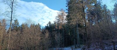 Wiertnicze Rozdroże ↔ Wałbrzych, ul. Mieroszowska