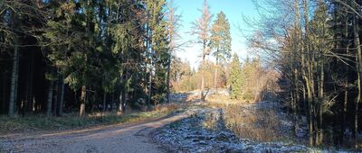 Wiertnicze Rozdroże