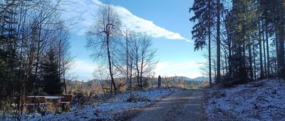 Wiertnicze Rozdroże