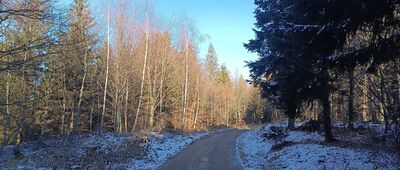 Rozdroże Leśne Berdo