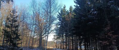 Rozdroże Leśne Berdo