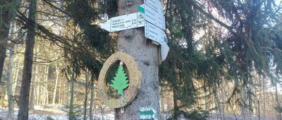 Rozdroże Leśne Berdo