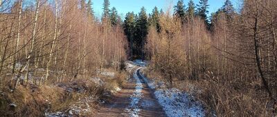 Ptasie Rozdroże ↔ Kamionka