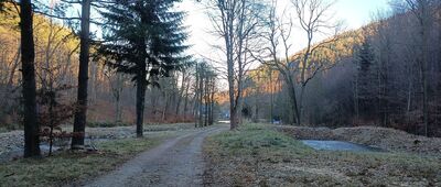 Ptasie Rozdroże ↔ Jedlina Zdrój, rozejście szlaków