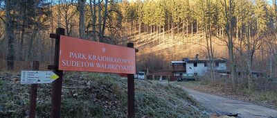 Jedlina Zdrój, rozejście szlaków